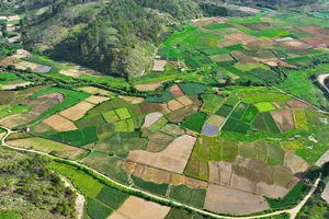 Lâm Đồng: Dự án hồ chứa nước gần 1.000 tỉ đồng chưa bàn giao xong mặt bằng tái định canh