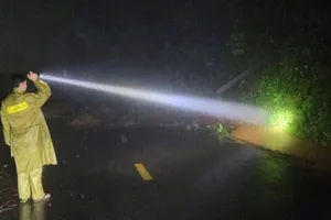 Sạt lở lớn trên đèo Gia Bắc, QL28 tạm ngưng lưu thông hai chiều