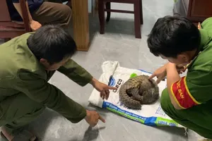 Lâm Đồng: Biểu dương hai người có hành động đẹp ở Cát Tiên 3 