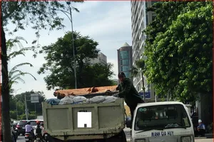 Đậu xe trên vỉa hè 