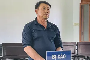 Mạo danh chủ hơn 4,6 ha rừng keo đem bán lấy tiền trả nợ