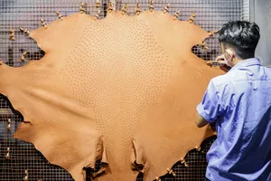 Cận cảnh quy trình sản xuất da đà điểu, cá sấu ở Khánh Hòa