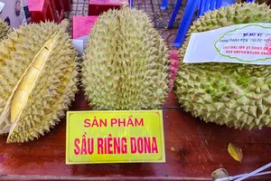 'No mắt' với đặc sản trái cây ở huyện miền núi của Khánh Hòa