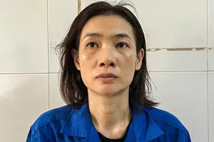 Dán tờ rơi bôi nhọ lãnh đạo, một phụ nữ bị khởi tố