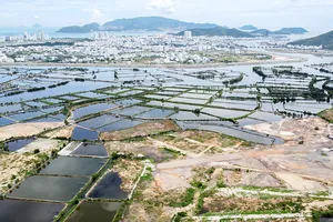 Khánh Hòa: Đấu thầu dự án đầu tư cho nhiều khu đất