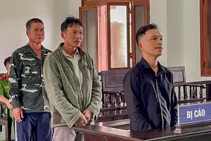 Cất giấu súng trong nhà, 2 cha con cùng đi tù