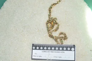 Thông tin mới vụ sát hại đồng nghiệp cướp dây chuyền vàng ở Nha Trang