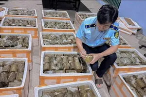 Phát hiện 1 tấn chả chay không rõ nguồn gốc trên xe tải