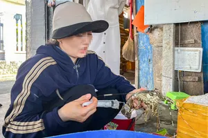 Phát hiện 1 cơ sở bơm tạp chất vào tôm hùm để bán ra thị trường