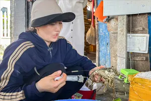 Tôm hùm bơm thạch rau câu có nguy hại sức khỏe?