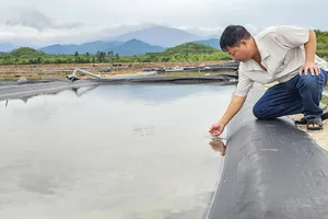 Nhường đất cho khu công nghiệp, diêm dân chờ bồi thường chi phí đầu tư 