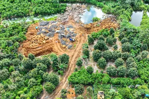 Làm rõ điểm khai thác đá trái phép giữa vườn cà phê ở Lâm Đồng