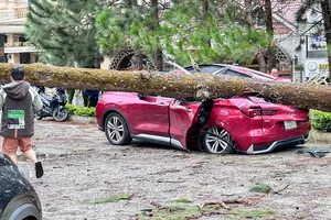 Mưa kèm gió mạnh làm cây xanh ngã đổ, đè nhiều ô tô ở Lâm Đồng