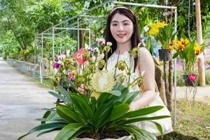 Nghệ nhân đến từ Lâm Đồng giật giải đặc biệt cuộc thi hoa lan