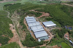 Khánh Hòa: 1 trại heo 'khủng' không phép trên ngọn đồi, gần khu dân cư