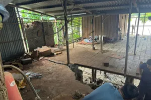 5 km bờ sông Cái Phan Rang sạt lở, uy hiếp khu dân cư