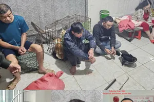 Nhóm trộm chó bị khởi tố