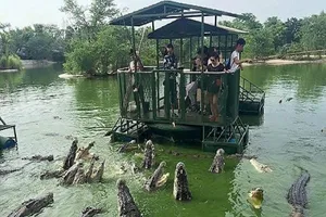 Du khách Trung Quốc điên đảo với dịch vụ câu cá giữa 4.000 con cá sấu