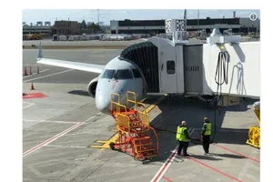 Máy bay buộc quay về vì va phải ngỗng trời