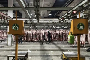 Người mua kiểm tra xác lợn treo trên băng chuyền tại chợ bán buôn thịt lợn ở ngoại ô Thượng Hải, Trung Quốc. Ảnh: Bloomberg