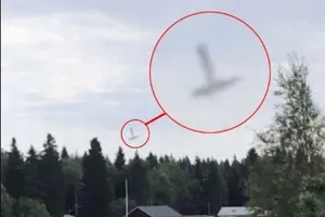 Rơi máy bay chở dân nhảy dù, 9 người thiệt mạng