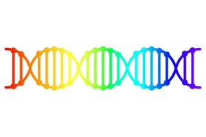 Khoa học gia kết luận: ‘Đồng tính’ không do gen quy định 