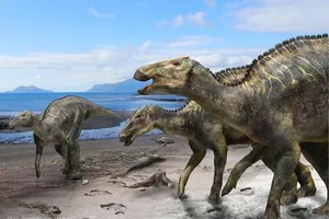 Phát hiện loài khủng long mới ở Nhật Bản