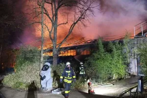 Đức: Hỏa hoạn ở sở thú, giết chết gần toàn bộ bầy khỉ