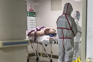 Các nhà nghiên cứu đã xác định được bộ gen của virus gây bệnh. Ảnh: SCMP