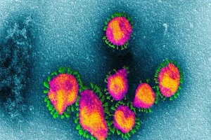 Không chặn được đà lây nhanh sẽ không kiểm soát nổi dịch virus corona. Ảnh: EYE OF SCIENCE