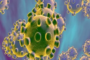 Virus Corona mới đang lây lan nhanh chóng trên toàn Trung Quốc và các quốc gia khác. Ảnh: AP