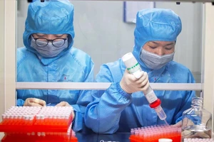 Virus Corona: Hy vọng có vaccine trong thời gian ngắn