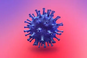 Virus Corona chủng mới đã được đặt tên