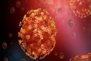 Báo cáo nghiên cứu ở Singapore nói rằng COVID-19 có thể bị chẩn đoán nhầm thành xuất sốt huyết. Ảnh: GETTY IMAGES