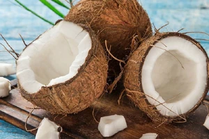 Philippines sẽ nghiên cứu sử dụng dấu dừa tinh khiết trong hỗ trợ điều trị cho các bệnh nhân nhiễm COVID-19. Ảnh: ALIBABA