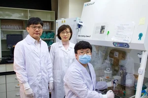 Nhóm các nhà khoa học Hàn Quốc công bố "bản đồ gen có độ phân giải cao" của virus SARS-CoV-2 gây dịch COVID-19. Ảnh: SCMP