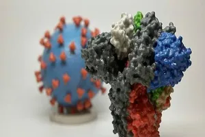 Các nhà khoa học Hà Lan tìm được một loại kháng thể có thể ngăn chặn virus gây dịch COVID-19. Ảnh minh họa: AFP