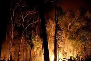 Ngọn lửa đốt cháy một góc rừng Amazon gần TP Porto Velho (Brazil) vào tháng 8-2019. Ảnh: REUTERS