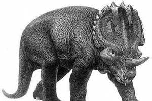 Khủng long Centrosaurus. Ảnh: NATIONAL HISTORY MUSEUM