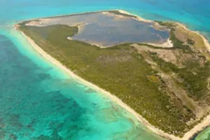 Bãi Cỏ Rong trên Biển Đông. Ảnh: PUNTO.COM