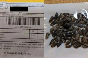 Một bưu kiện in chữ Trung Quốc chứa hạt giống bí ẩn. Ảnh: FOX NEWS