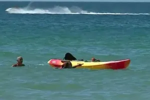 RADIOTELEVISAO PORTUGUESA