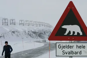 Một biển cảnh báo gấu Bắc Cực "áp dụng cho toàn bộ vùng Svalbard". Ảnh: REUTERS