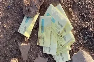 Arizona: Phát hiện nhiều phiếu bầu qua thư nghi bị đánh cắp