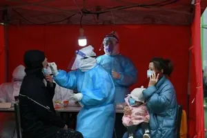 Trung Quốc phát hiện một số ca nhiễm COVID-19 từ đầu heo