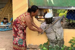 Bà Ek Chan đang chỉnh trang lại cho một bù nhìn Ting Mong trước nhà. Ảnh: REUTERS