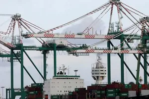 Một tàu container của công ty Evergreen Marine tại Cảng Cao Hùng, Đài Loan năm 2017. Ảnh: REUTERS