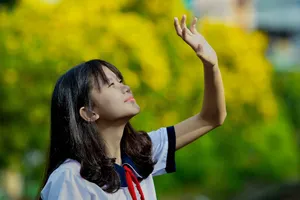 Bộ ảnh: Huỳnh liên nở rợp trên đường phố Sài Gòn