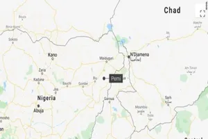 Bản đồ chỉ vị trí làng Pemi, bang Borno, Đông Bắc Nigeria. Ảnh: CNN