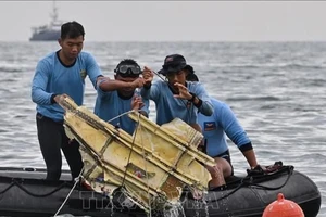 Indonesia bắt được tín hiệu hộp đen của chiếc máy bay gặp nạn. Ảnh: TTXVN